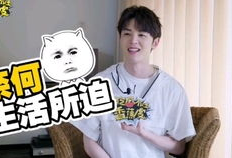 创造营吃瓜爆料视频,揭秘幕后吃瓜爆料，选手幕后故事大揭秘